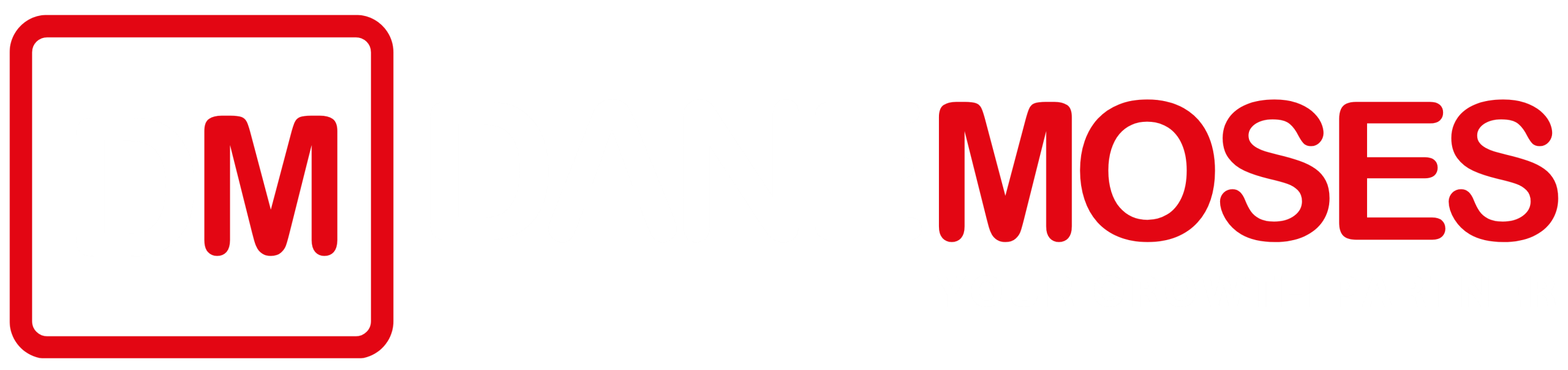 Dane Moses John – SME Marketing Partner | Brand Strategist | Growth Expert
